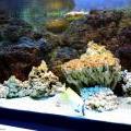 130112_MorskySvet_46