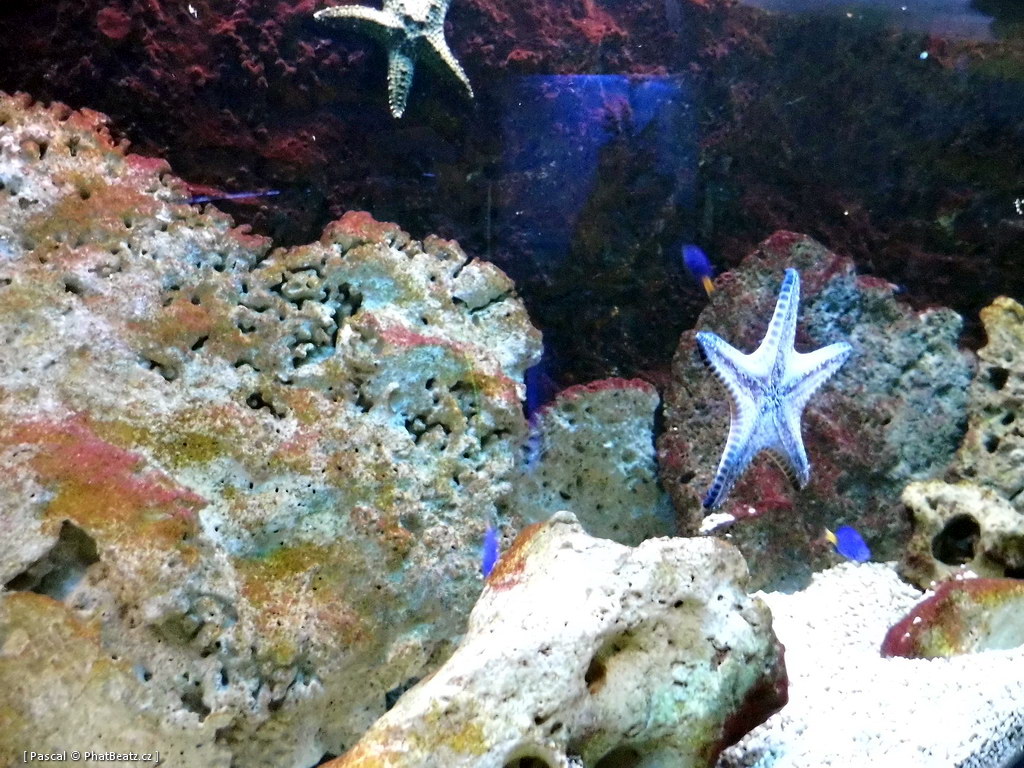 130112_MorskySvet_47