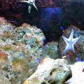 130112_MorskySvet_47