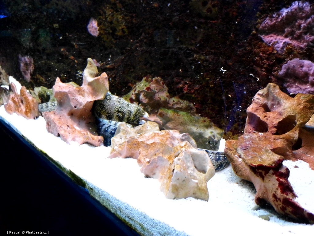 130112_MorskySvet_48