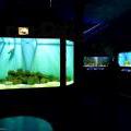 130112_MorskySvet_49