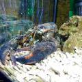130112_MorskySvet_51