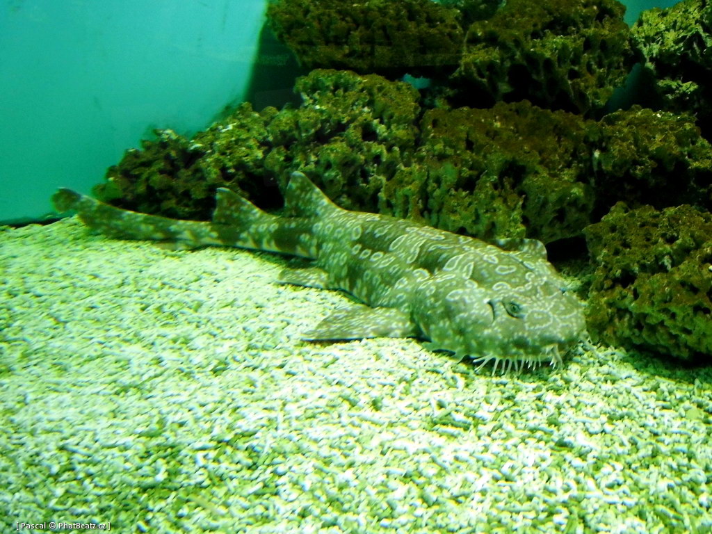 130112_MorskySvet_52