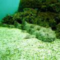 130112_MorskySvet_52