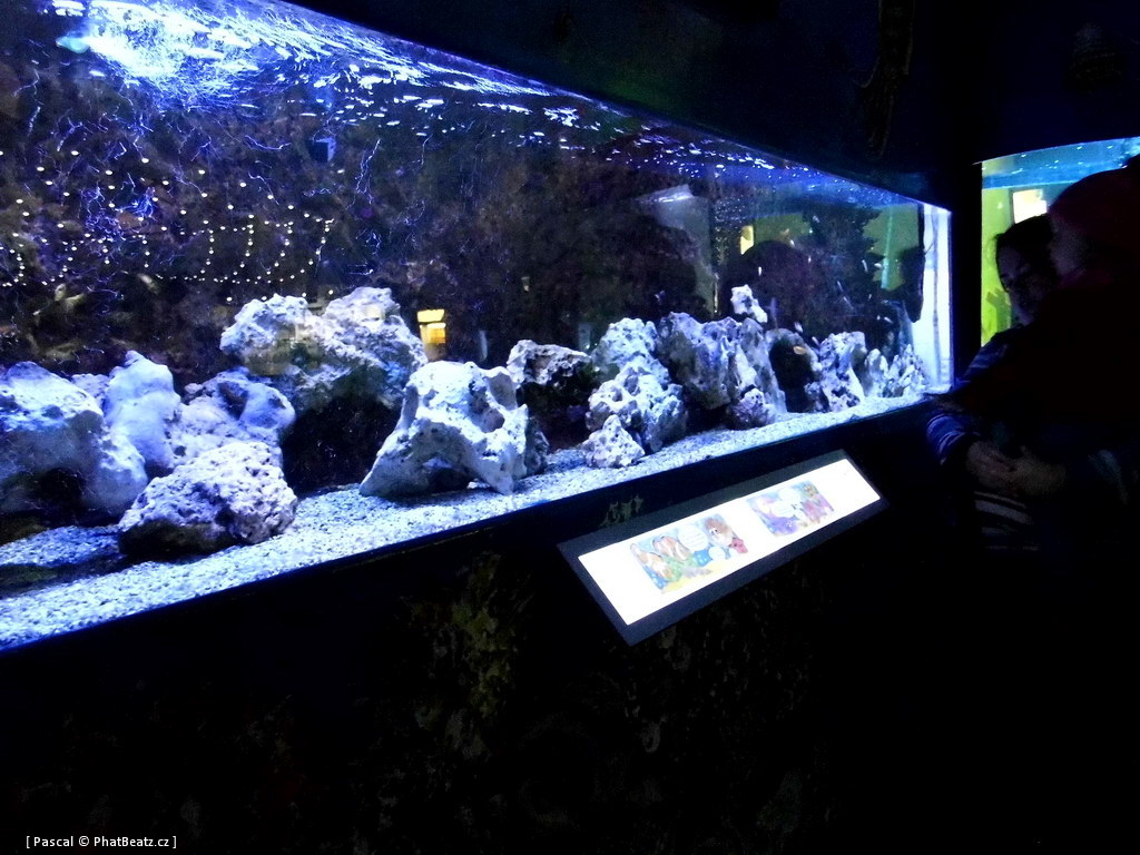 130112_MorskySvet_53