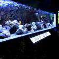 130112_MorskySvet_53