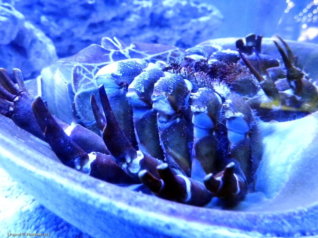 130112_MorskySvet_55
