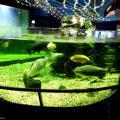 130112_MorskySvet_56