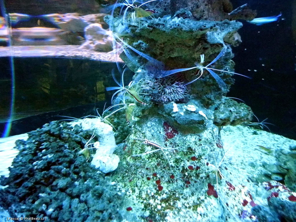 130112_MorskySvet_57