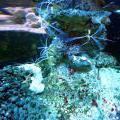 130112_MorskySvet_57