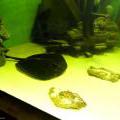 130112_MorskySvet_58