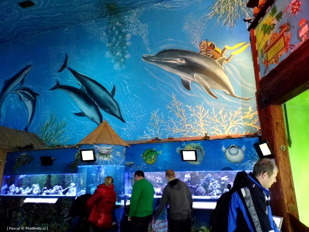 130112_MorskySvet_59