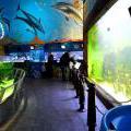 130112_MorskySvet_60