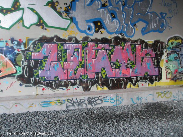 130124_Brno_16