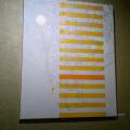 130307_SynergiaX_07