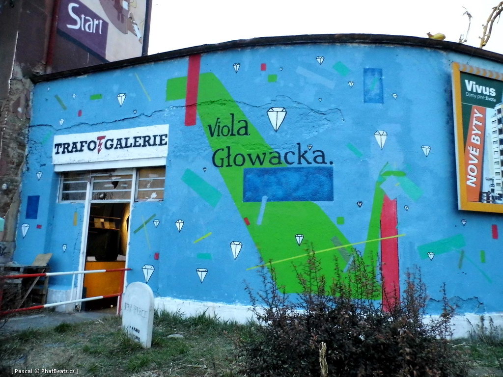 130328_Viola_Glowacka_01