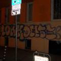 1303_Sofia_22