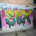 1303_Sofia_34