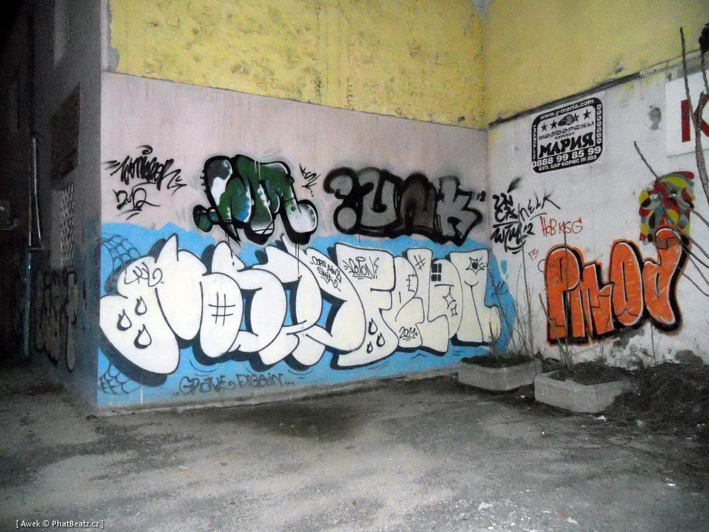 1303_Sofia_50