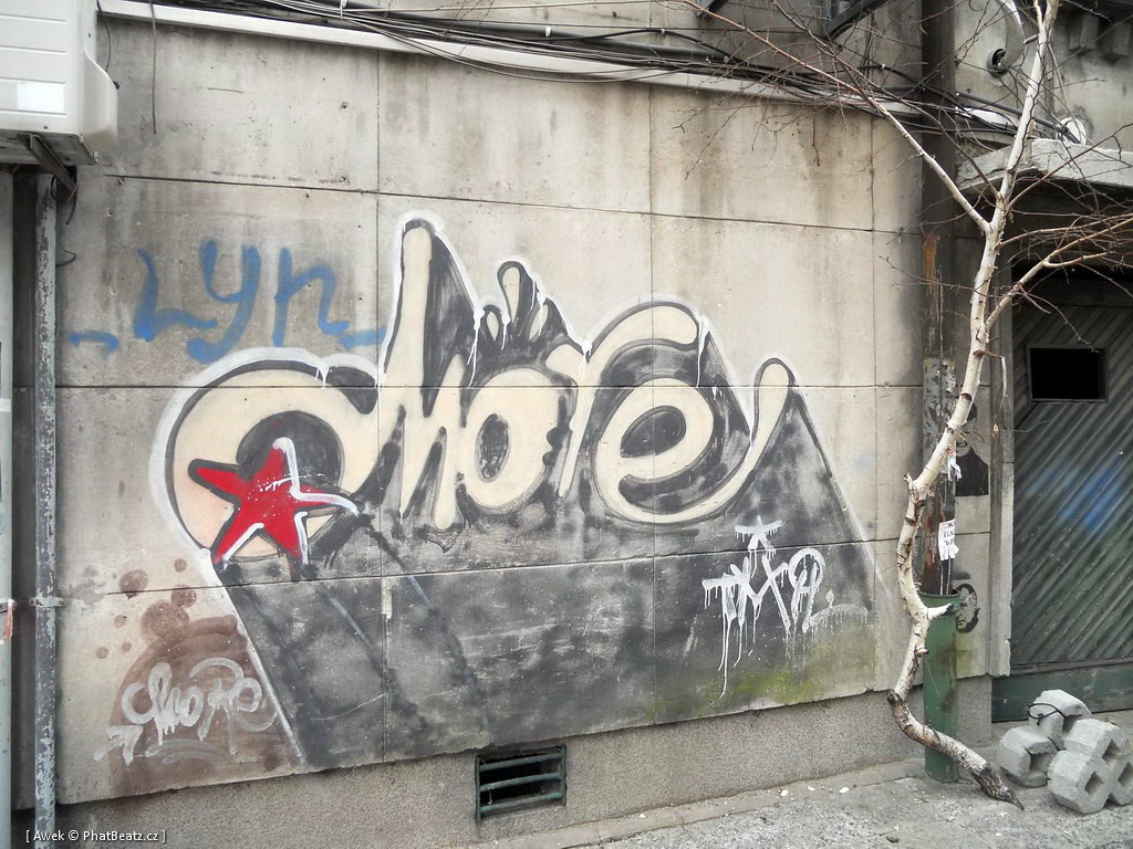 1303_Sofia_66