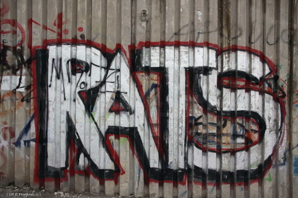 130406_Nusle_23