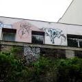 130505_PodVitkovem_009