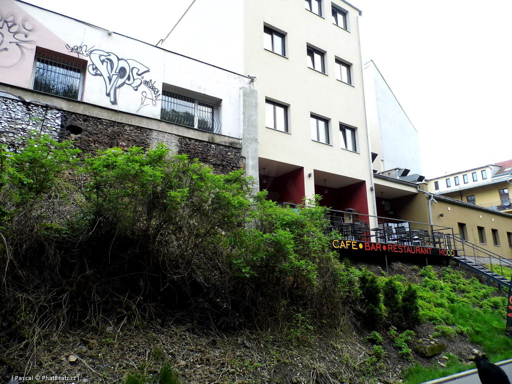 130505_PodVitkovem_010