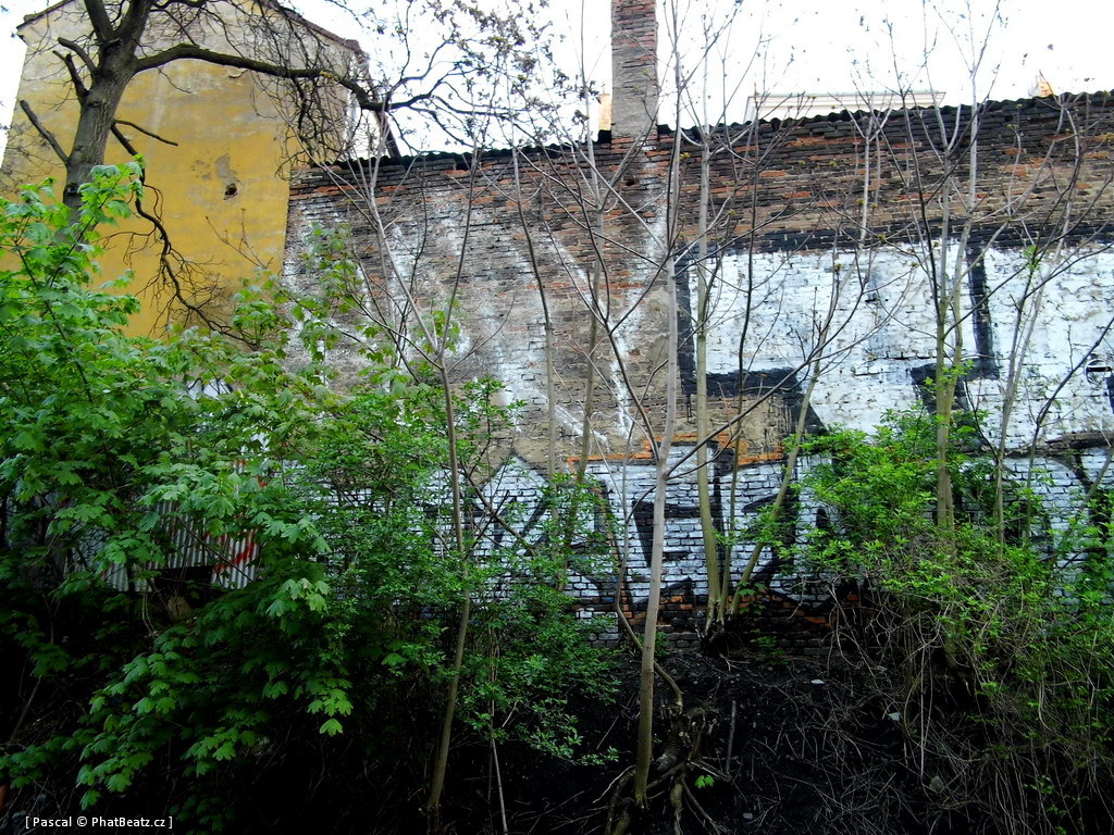 130505_PodVitkovem_014
