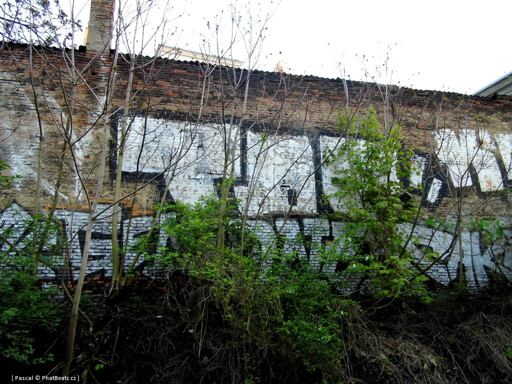 130505_PodVitkovem_015