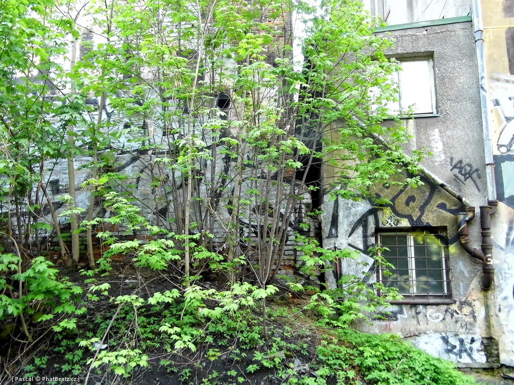 130505_PodVitkovem_017