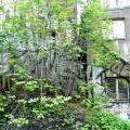 130505_PodVitkovem_017