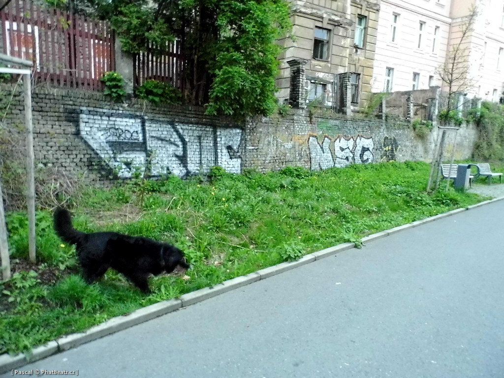 130505_PodVitkovem_087