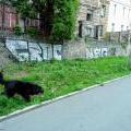 130505_PodVitkovem_087