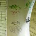 130505_PodVitkovem_127
