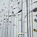 130529_Anthorpocene_08