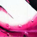 130629_GraffitiSpis6_23