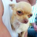 130629_GraffitiSpis6_29