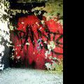 130721_Meschwitzstrasse_025
