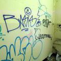 130721_Meschwitzstrasse_041