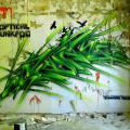 130721_Meschwitzstrasse_047