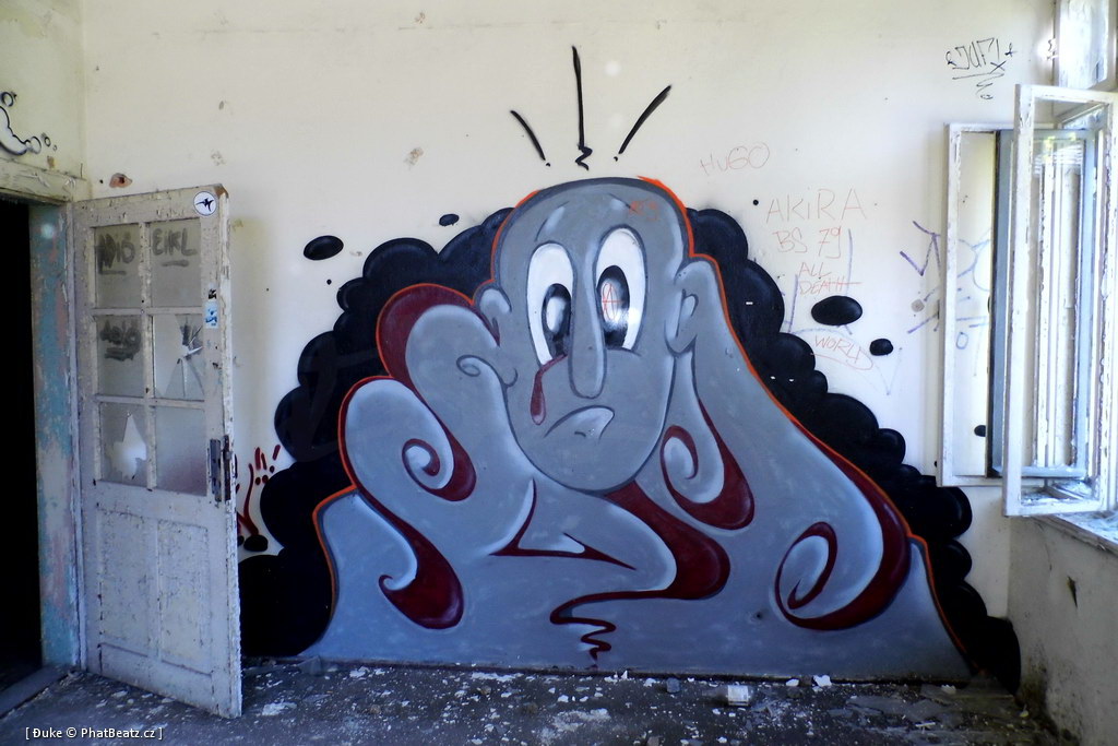 130721_Meschwitzstrasse_050