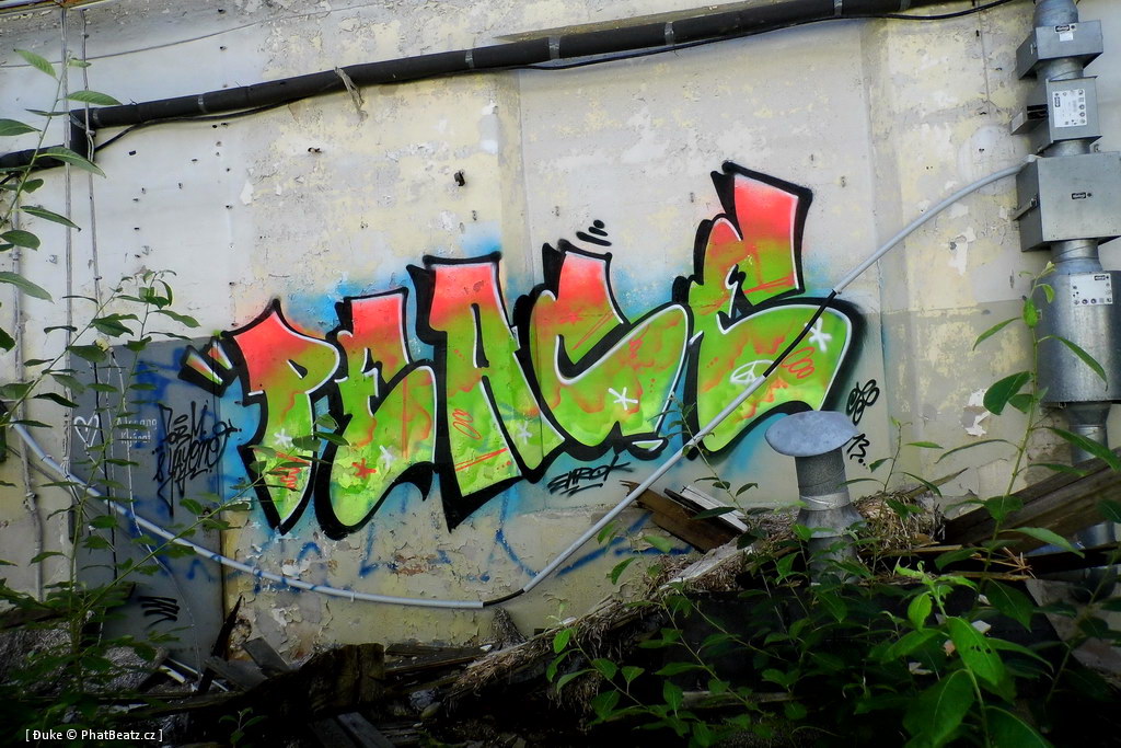 130721_Meschwitzstrasse_101