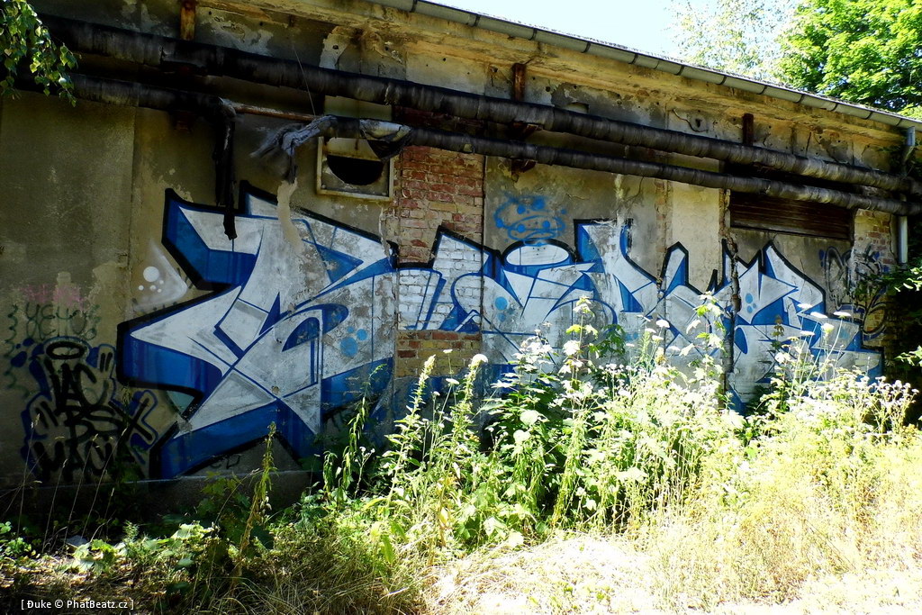 130721_Meschwitzstrasse_104