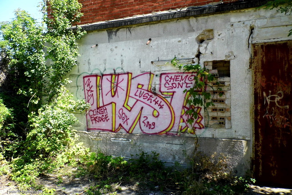 130721_Meschwitzstrasse_105