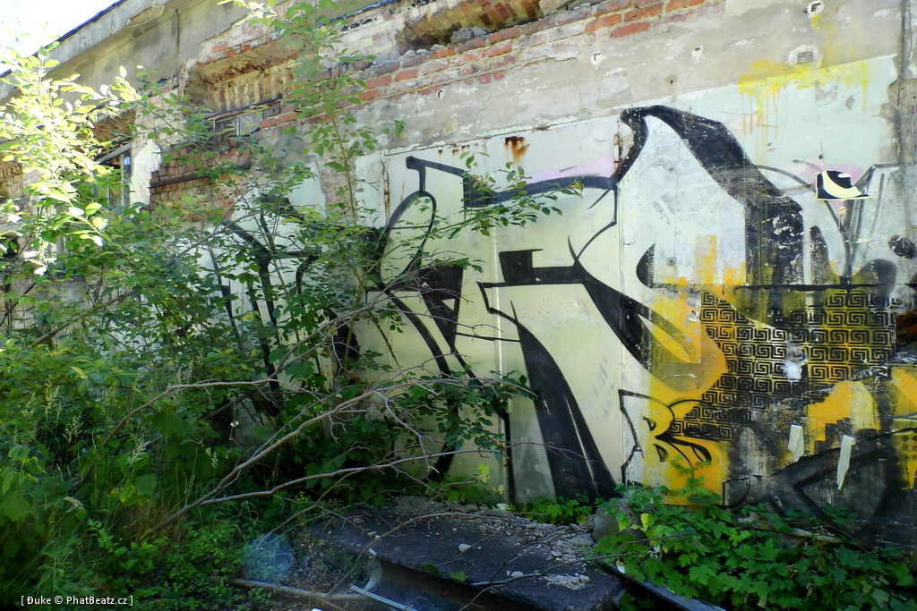 130721_Meschwitzstrasse_106
