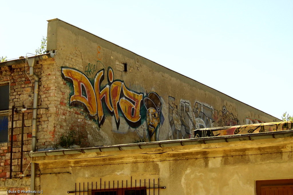 130721_Meschwitzstrasse_109