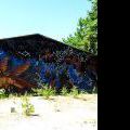 130721_Meschwitzstrasse_114