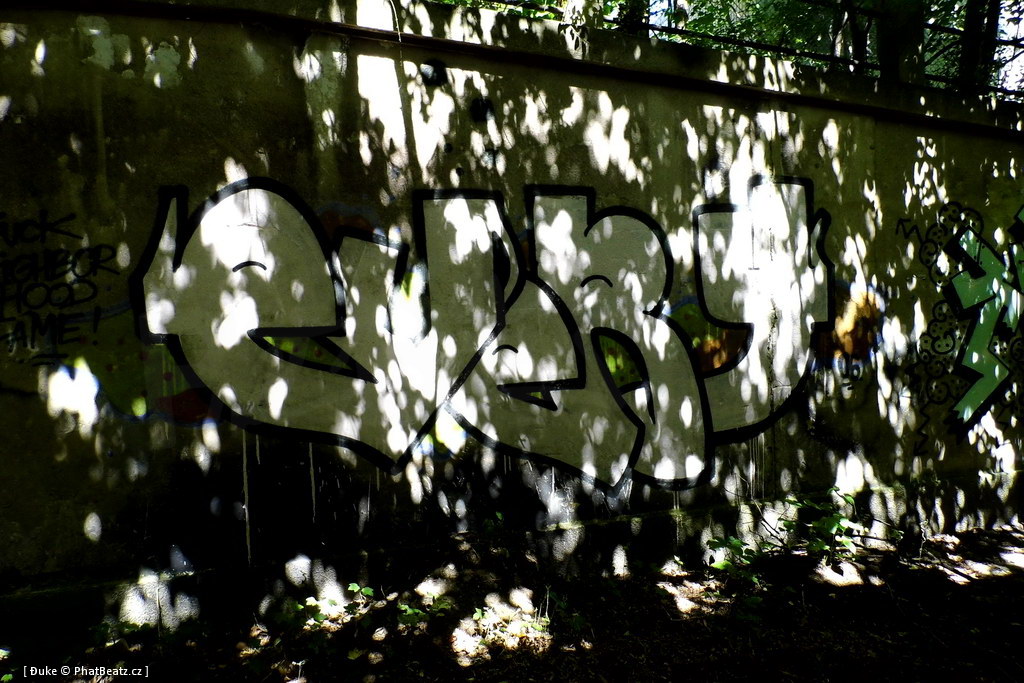 130721_Meschwitzstrasse_126