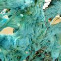 130801_Stroka_09