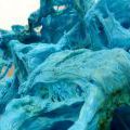 130801_Stroka_12